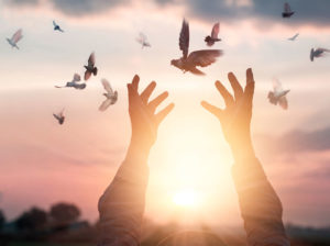 Hands trying to catch flying birds