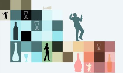 Alcohol use and stages of alcholism