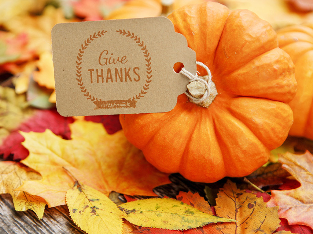 3 Ways To Feel Good on Thanksgiving No Matter What – 3 Ways To Feel Good on Thanksgiving No Matter What –