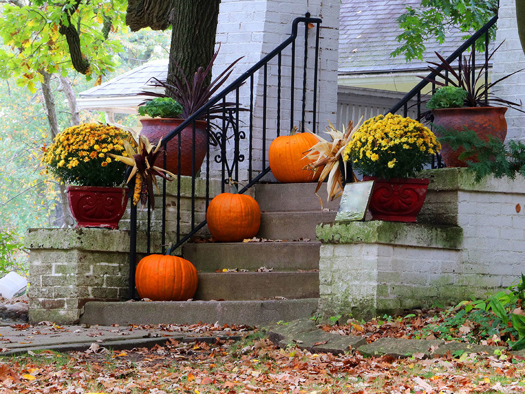 holiday boundaries keep gatherings peaceful