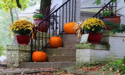 holiday boundaries keep gatherings peaceful