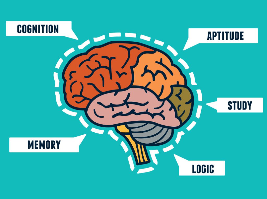 graphic of brain functions