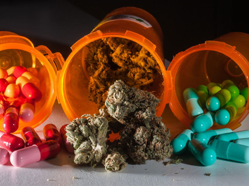 марихуана и антибиотики