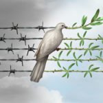 Dove putting branches on barbed wire