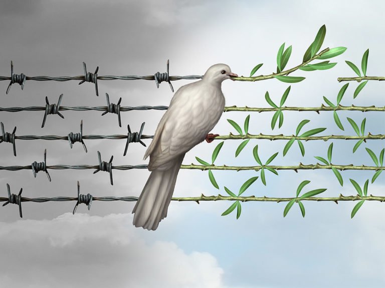 Dove putting branches on barbed wire