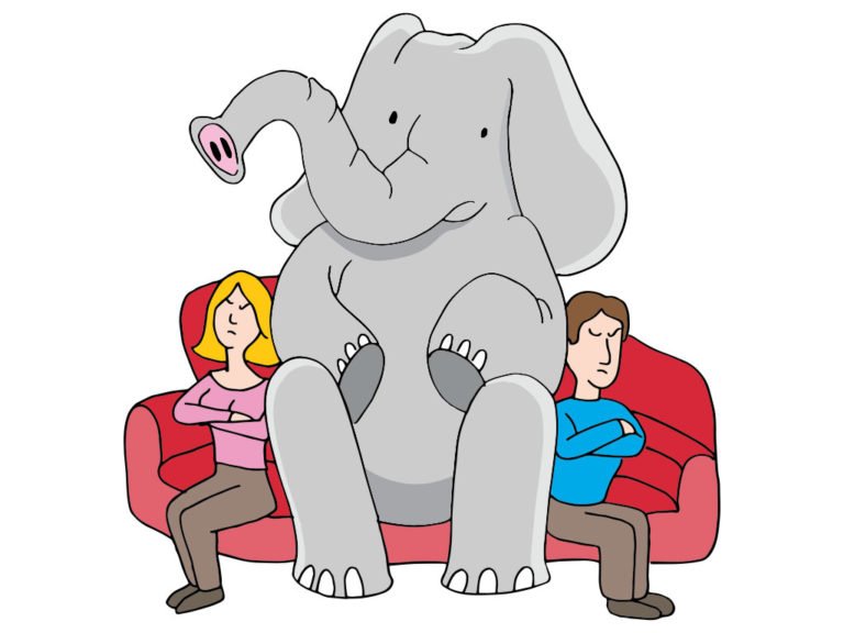 Elephant on the couch