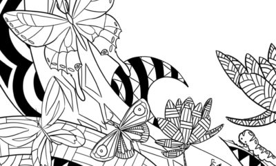 Coloring book Step 12