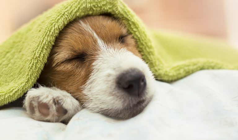Healthy Sleep In 7 Steps Healthy Sleep In 7 Steps