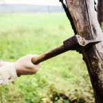 Detaching with an ax