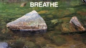 Mini Mind Break at a Stream
