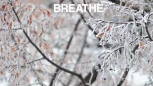 Mini Mind Break in the Snow