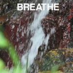 Break at the Waterfall