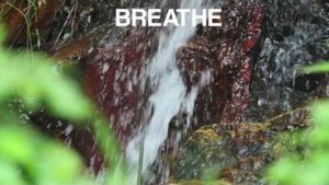 Break at the Waterfall