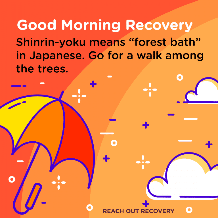 recovery-quotes-take-a-forest-bath-reach-out-recovery