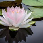 Substance-Recovery-Is-Possible