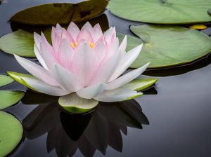 Substance-Recovery-Is-Possible