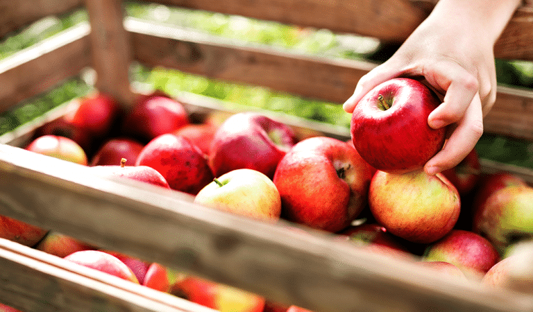 5 Ways to Add Apples to Your Next Meal