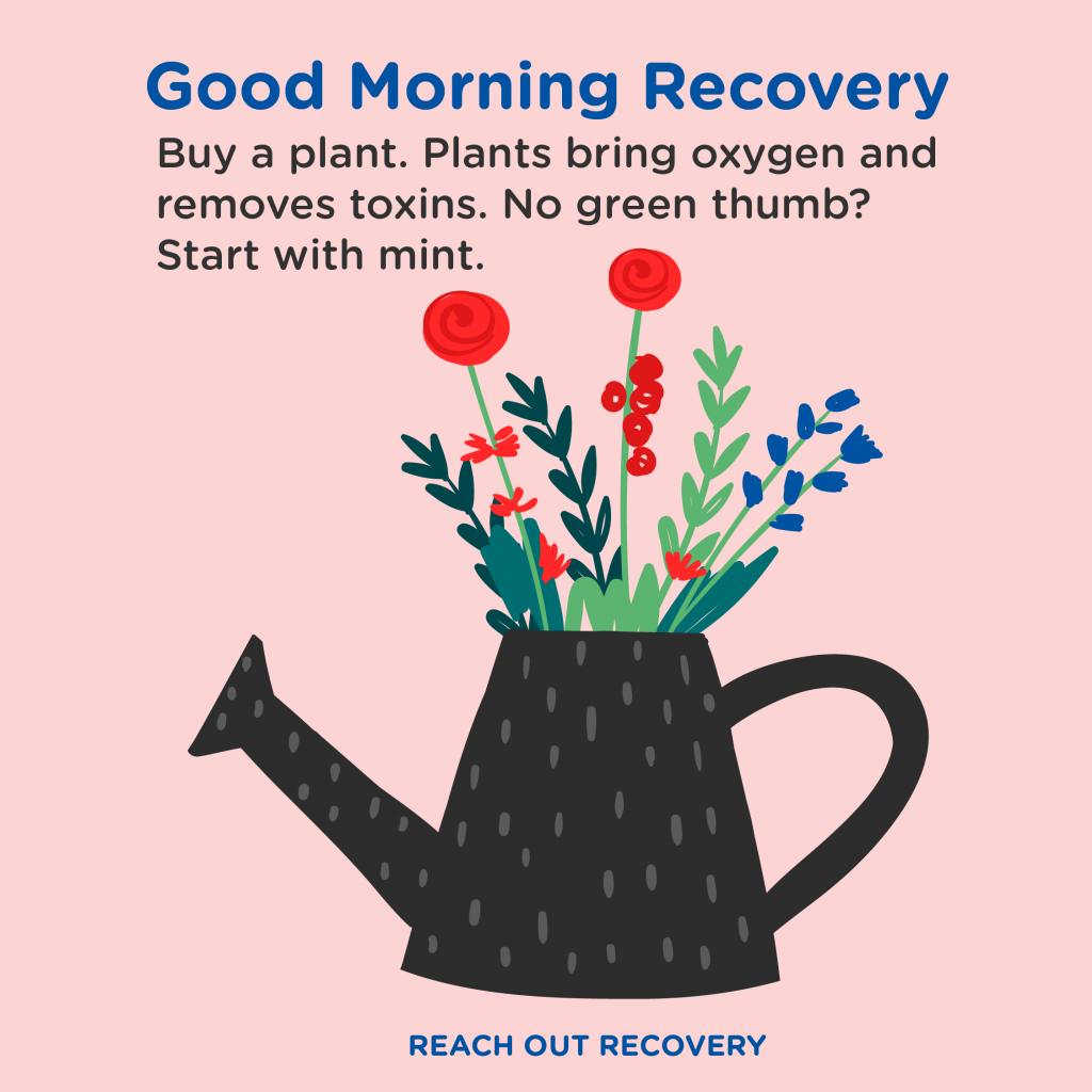 Good Morning Recovery plants
