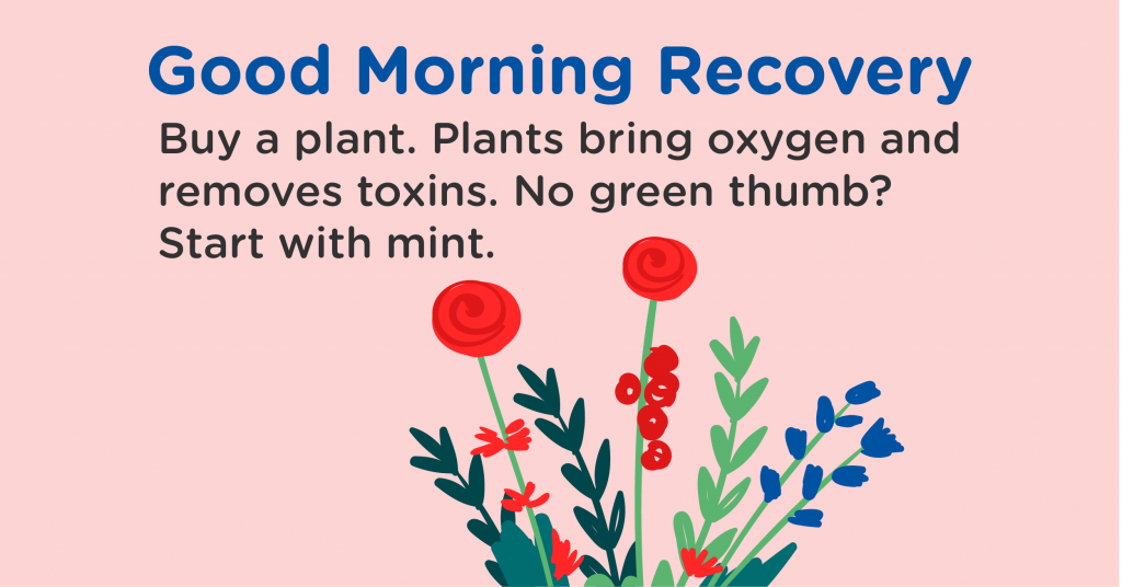 Good Morning Recovery plants