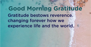 Gratitude changes your life experience
