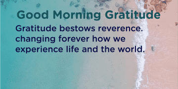 Gratitude changes your life experience