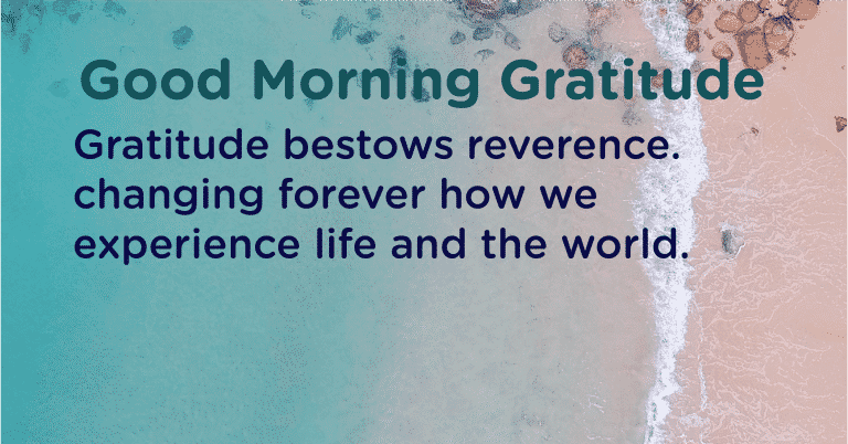 Gratitude changes your life experience