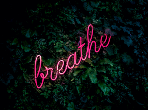 breathe Change your brain