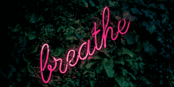 breathe Change your brain