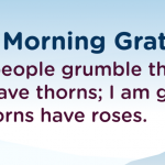 gratitude quote gratfule for roses