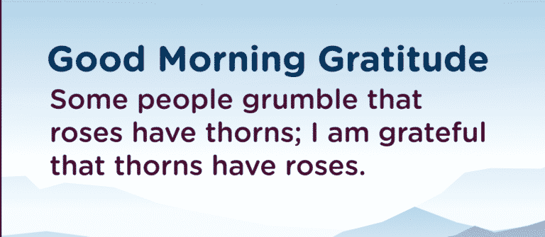 gratitude quote gratfule for roses