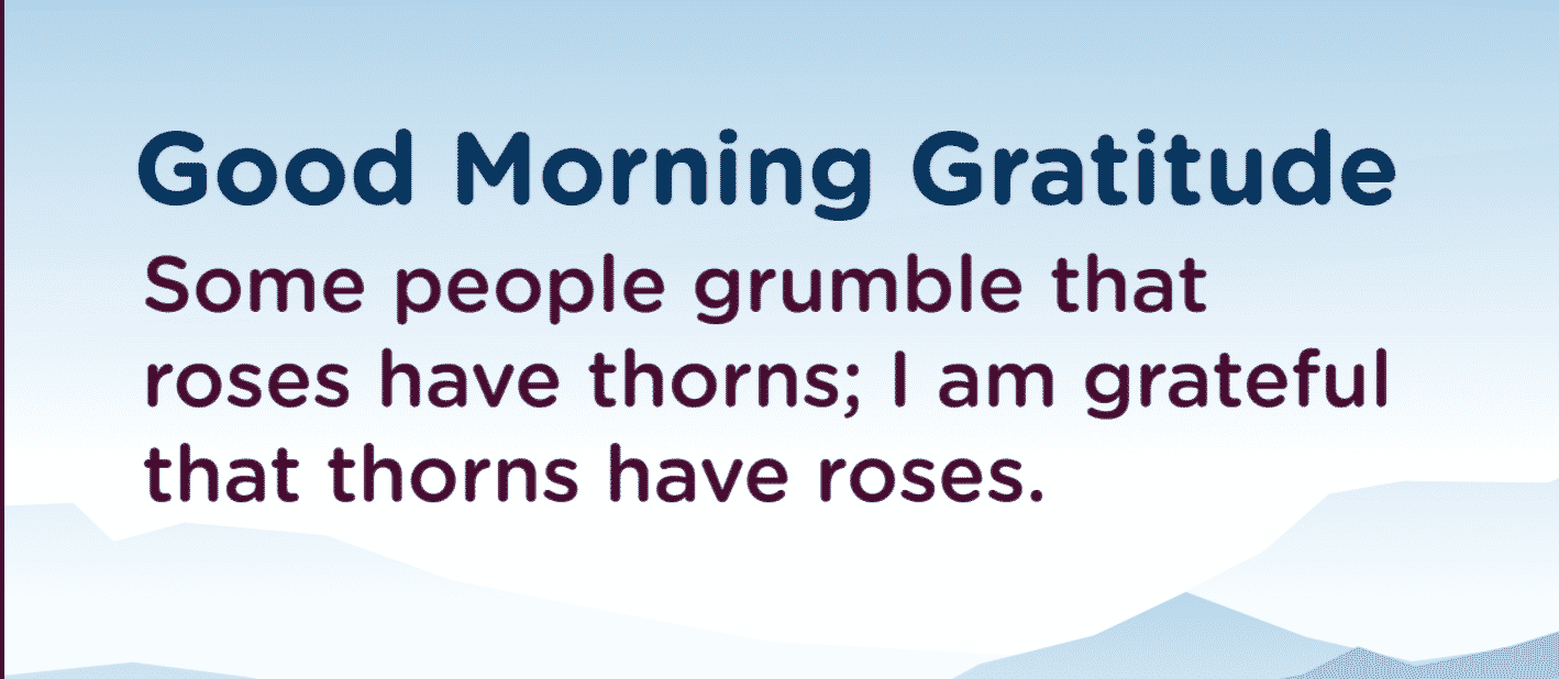 gratitude quote gratfule for roses
