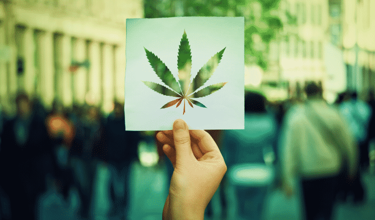 How To Detox From Weed How To Detox From Weed