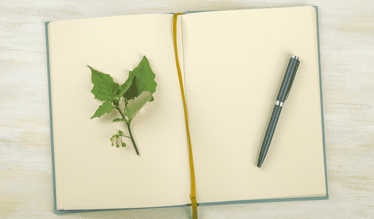 Self Care With A Recovery Bullet Journal Self Care With A Recovery Bullet Journal