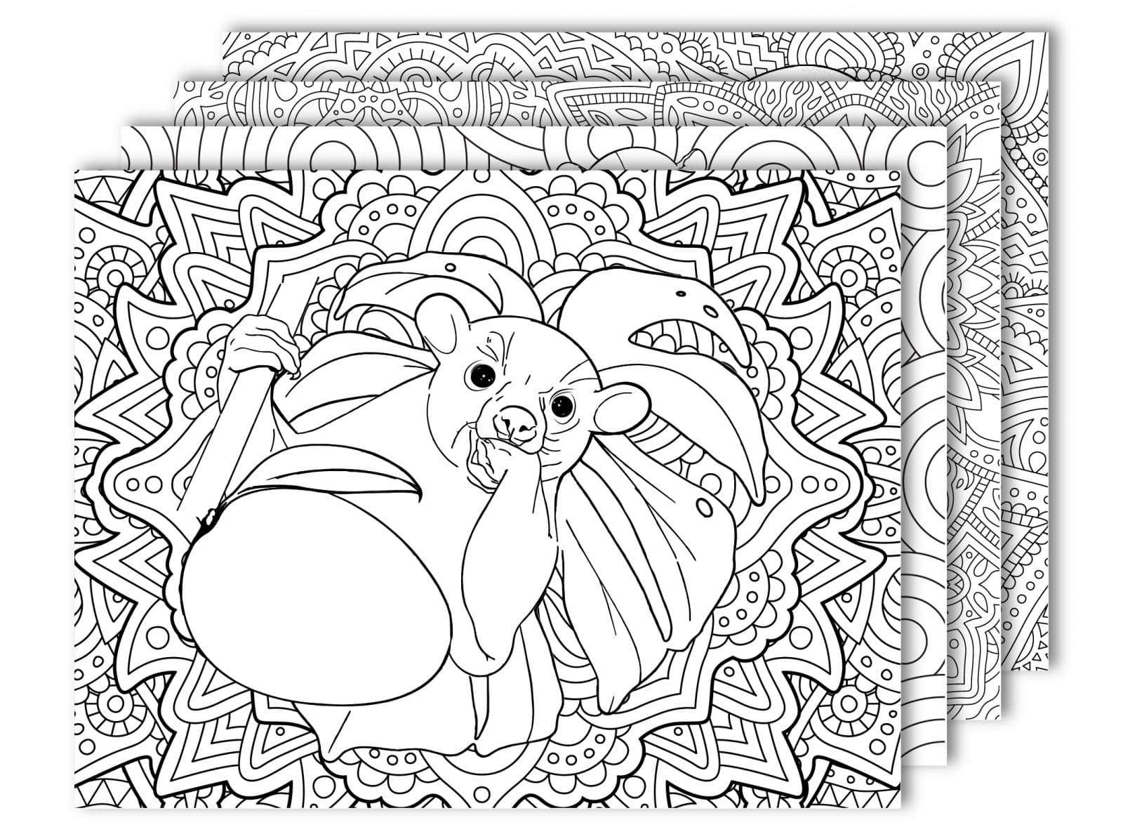 Kinkajou Coloring Pages - Reach Out Recovery