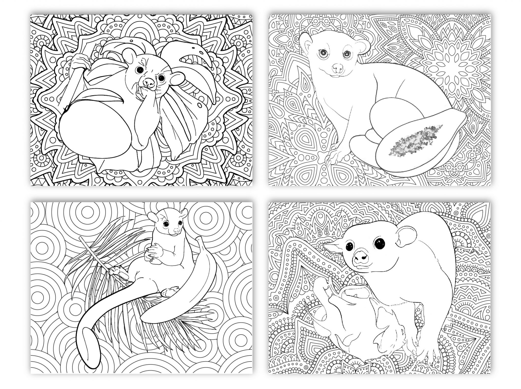 Kinkajou Coloring Pages - Reach Out Recovery