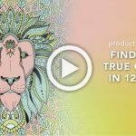 cover for video find your true colors with lion
