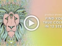 cover for video find your true colors with lion