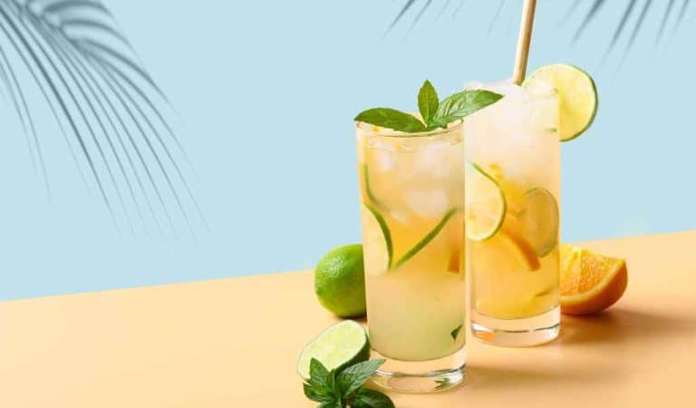 Non Alcoholic Drinks Recipes For Everyone