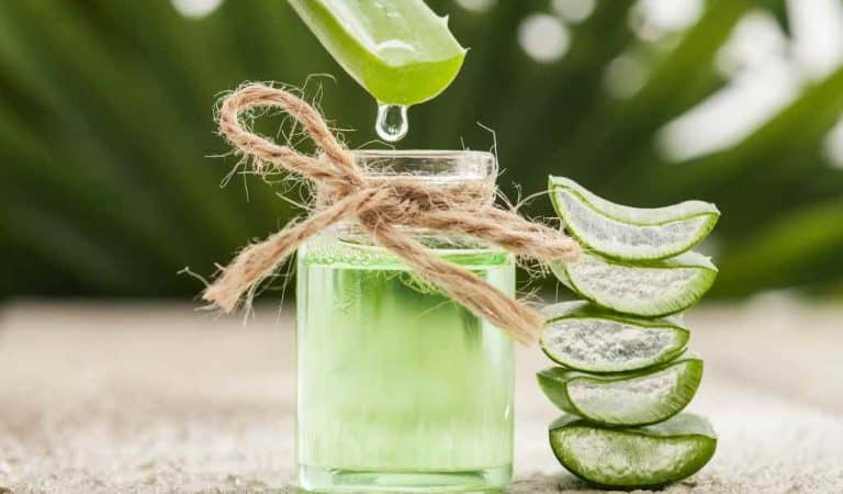 What Happens if You Drink Aloe Vera Everyday