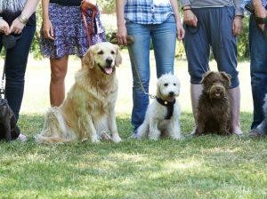 start a conversation