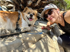 dog owners