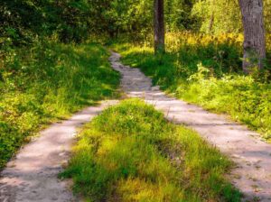 finding purpose and meaning