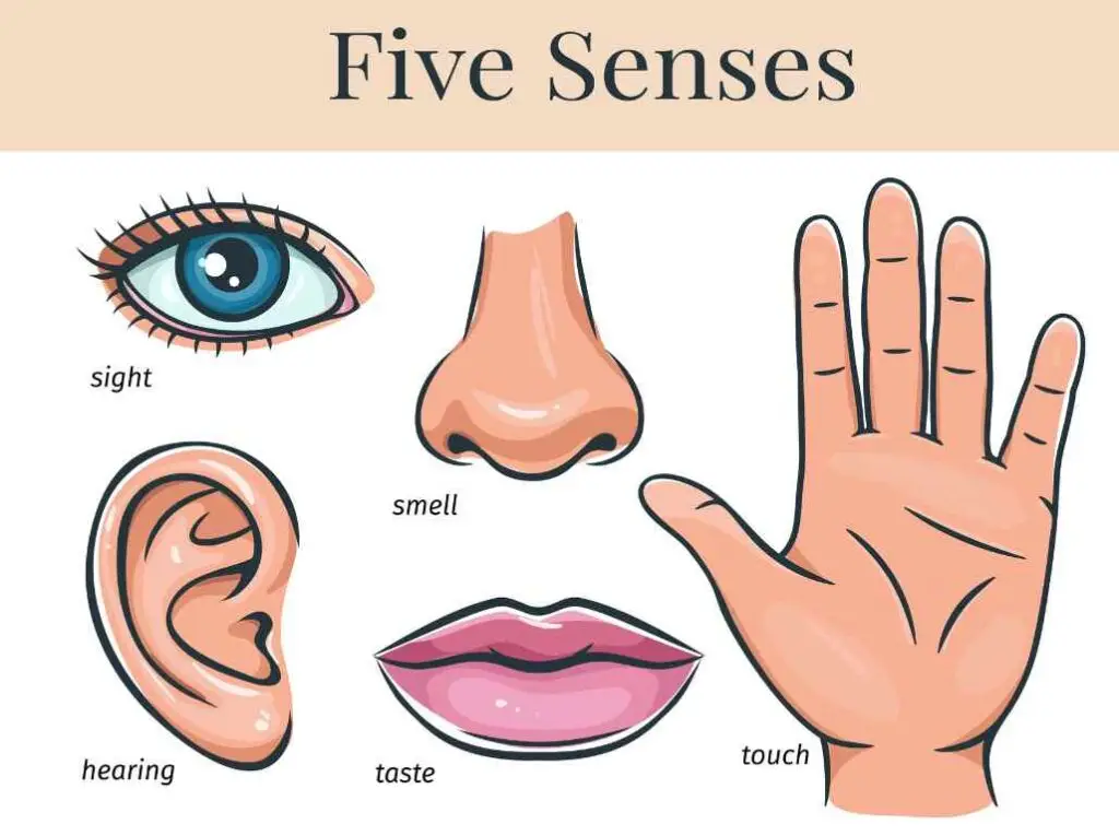 5 senses self care