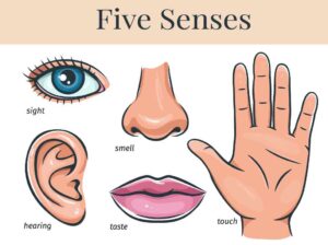5 senses self care