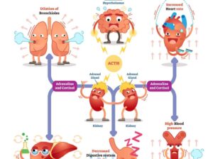 Stress Affects Health