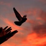 Finding Your Voice After Toxic Parents