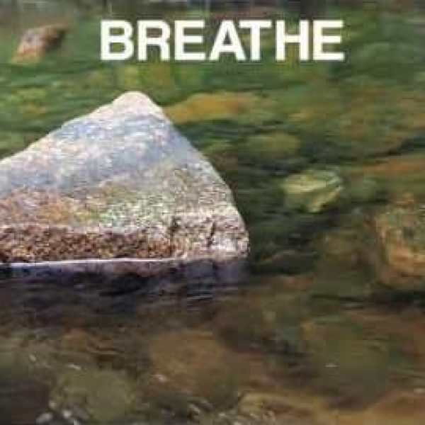 Mini Mind Break at a Stream