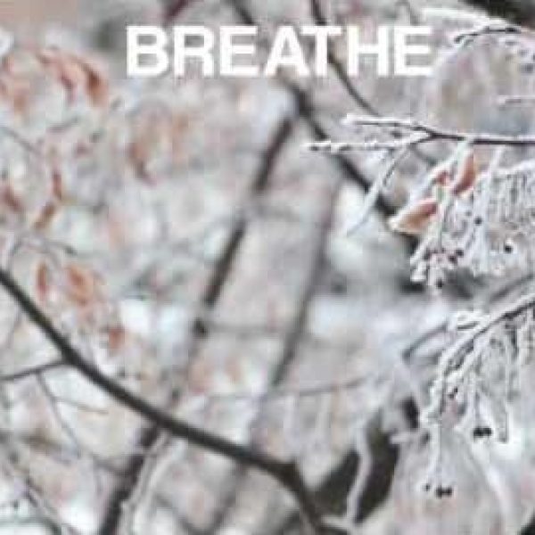 Mini Mind Break in the Snow