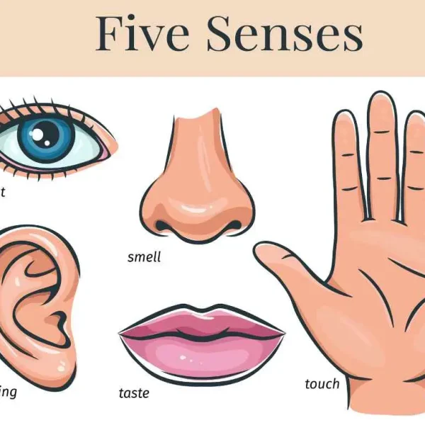 5 senses self care