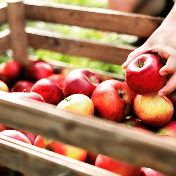 An Apple a Day – 5 Ways to Add Apples to Your Next Meal